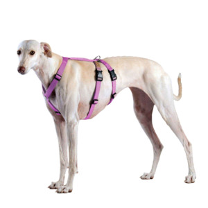 Haqihana Pettorina Doppia H Antifuga per Cani Pink S2H (torace 50-75cm)