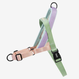 Zee.Dog Pettorina Norvegese Softer-Walk per Cani Peach S