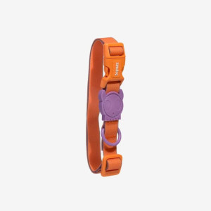 Zee.Dog Collare per Cani Regolabile Linea Neopro Iris S (31-43cm)