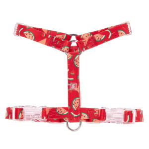 Ferribiella PROMO ULTIMI PEZZI !!! Pettorina H per Cani Motif Watermelon M