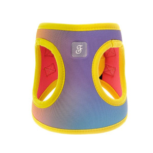 Ferribiella PROMO ULTIMI PEZZI !!! Pettorina Motif Rainbow per Cani M