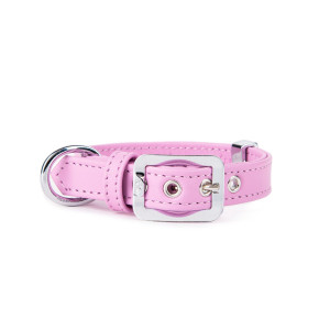 MyFamily Collare per Cani in Vera Pelle Glicine Hermitage con Finiture in Bronzo Bianco 2XS (22/26-1,2cm)