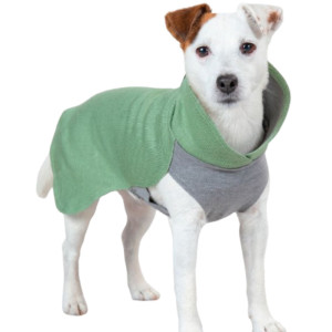 Paikka Maglietta in Tessuto Recovery per Cani Verde Salvia 25 cm