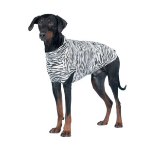 Paikka Maglia Protettiva per Cani Anti UV e Zanzare 25 cm