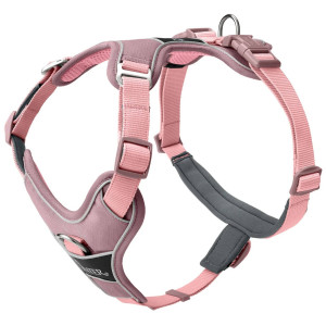 Hunter Pettorina per Cani Divo Up Rosa Antico M