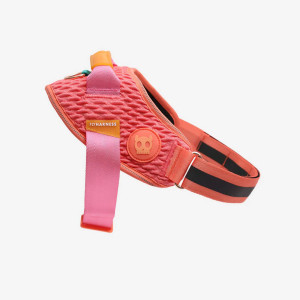 Zee.Dog Pettorina Per Cani con Maniglia Flyharness Gazelle 5