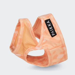 Paikka Maglia Refrigerante per Cani Leo Pesca 2XL