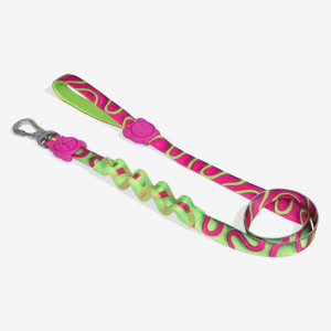 Zee.Dog Guinzaglio Ammortizzato per Cani Jelly H3D Ruff S 2x120cm