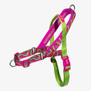 Zee.Dog Pettorina Norvegese Softer-Walk per Cani Jelly H3D S