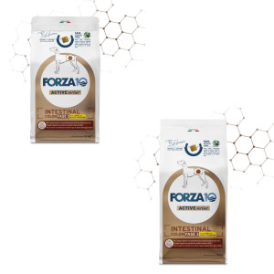 Forza10 Forza 10 Intestinal Colon Fase 2 Agnello e Sorgo Bianco per Cani Adulti