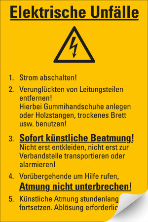 Betriebsaushang: Elektrische Unfälle [...], gelb, Folie selbstklebend, 200 mm x 300 mm, 1 Stück