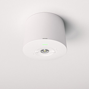 HOFTRONIC Locus - Aufbaustrahler Notbeleuchtung Spot weiß - 2 Watt 300 Lumen - 6000K tageslichtweiß - IP20 staubdicht - Mit Prüftaste