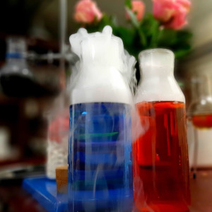 Przygoda w Podziemiach Laboratorium Mrozu | Jelenia Góra | Laboratorium Mrozu | 2 + 2 dzieci do 18 rż | Prezent | Voucher | Karta podarunkowa | Bon | Cena