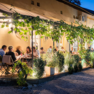 Ekskluzywna degustacja win we dwoje | Kraków | Klimaty Południa | 2 osoby | Prezent | Voucher | Karta podarunkowa | Bon | Cena