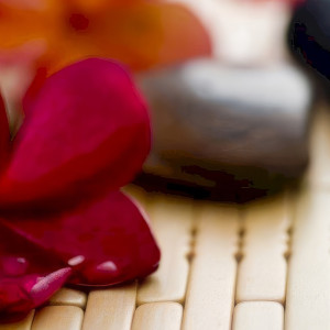 Masaż Lomi Lomi | Pruszków | Samui SPA | 1 godzina | Prezent | Voucher | Karta podarunkowa | Bon | Cena