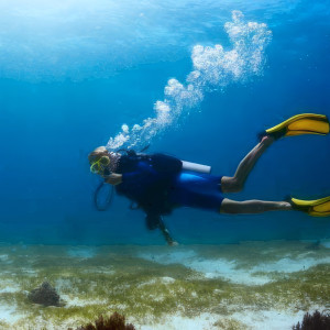 Podstawowy kurs nurkowania IDF Scuba Diver | Wejherowo | Prezent | Voucher | Karta podarunkowa | Bon | Cena