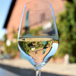 Zwiedzanie Winnic Jaworek z degustacją | Wrocław (Miękinia) | z przekąskami | Prezent | Voucher | Karta podarunkowa | Bon | Cena