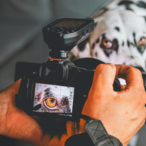 Fotografia tęczówki | Poznań | Pupil | Prezent | Voucher | Karta podarunkowa | Bon | Cena