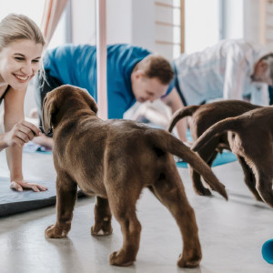 Puppy joga | Warszawa | 1 osoba | Prezent | Voucher | Karta podarunkowa | Bon | Cena