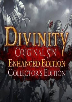 Divinity: Original Sin - Enhanced Edition Collector's Edition PC