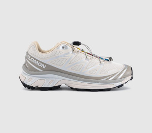 Salomon Womens XT-6 Trainers Rainy Day Paloma Silver In Multi, 9.5