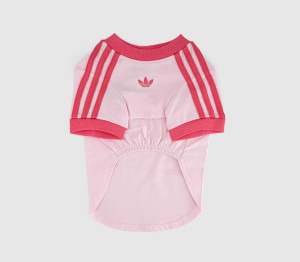 Adidas Pet Cali Tee Clear Pink Real, M