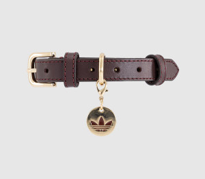 Adidas Pet Collar Collegiate Burgundy In Red