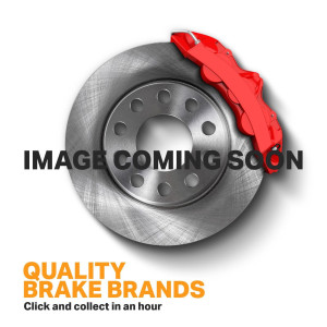 Pagid Brake Disc