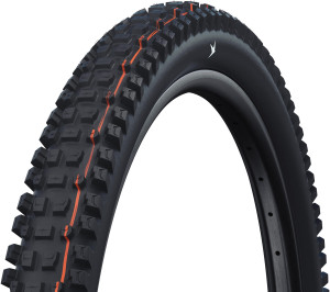 Schwalbe Albert Radial Gravity Pro TLR Tyre, Soft, 29x2.60 inch