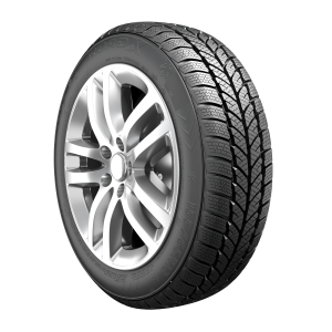 RoadX Wh01 Rxfrost (205/65 R15 94H)