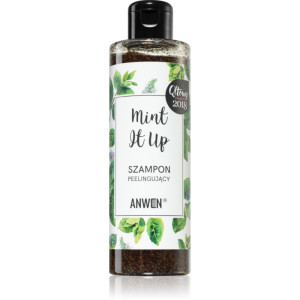 Anwen Mint It Up eksfolierende shampoo 200 ml
