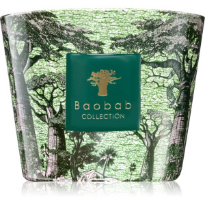 Baobab Collection Sacred Trees Touba geurkaars 500 g