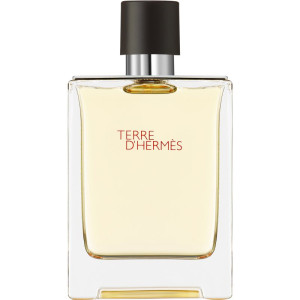 Terre d’Hermès Eau de Toilette för män 100 ml