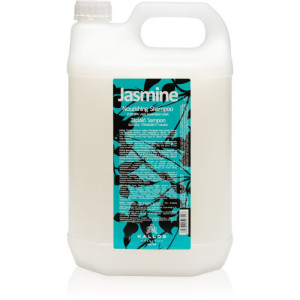 Classic Champú Para Cabello Seco Y Dañado 5000 Ml