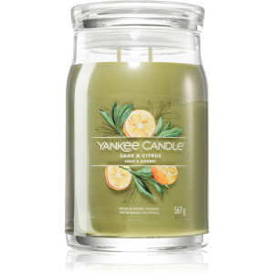Yankee Candle Sage & Citrus duftlys Signatur 567 g