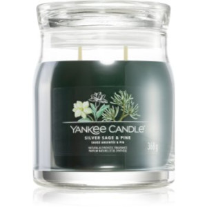 Yankee Candle Silver Sage & Pine vela perfumada Signature 368 g. Silver Sage & Pine