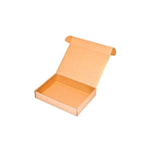 250 x Maxibrief-Karton 200x152x40 mm  bestellen