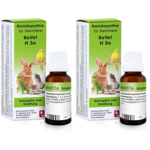 Dr. Reckeweg Revet H 3a Globuli f.Heimtiere 2x 2x10 g