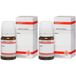 DHU Bryophyllum D 6 Tabletten 2x 2x80 St