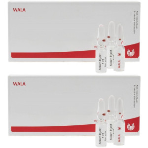 WALA Mesenchym/Calcium carbonicum comp.Ampullen 2x 2x5x10 ml Ampullen
