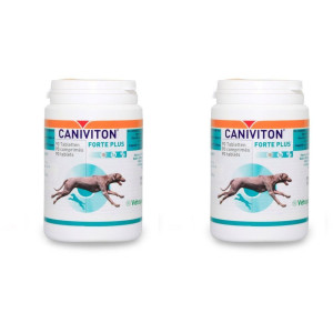 Caniviton Forte Plus Erg.Futterm.Tbl.f.Hund/Katze x2 2x90 St Tabletten