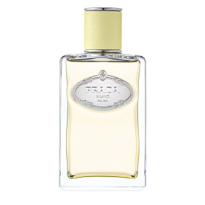 Les Infusions de Prada - Gingembre