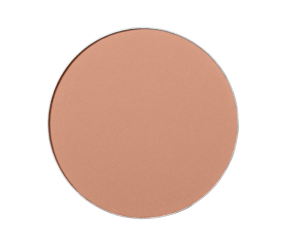Shiseido Expert Sun Protector UV SPF30 - Fond de Teint Compact
