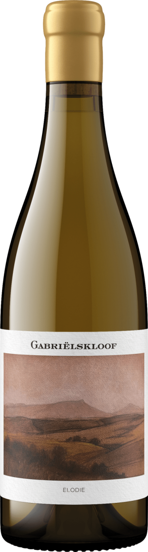 Elodie Chenin Blanc 2024 - Chenin Blanc - 750 ml