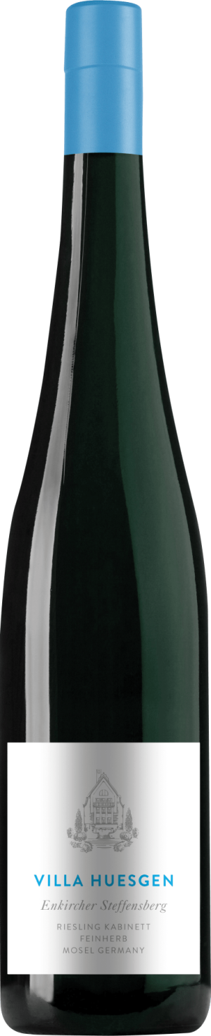 Enkircher Steffensberg Riesling Kabinett feinherb 2024 - Riesling - 750 ml