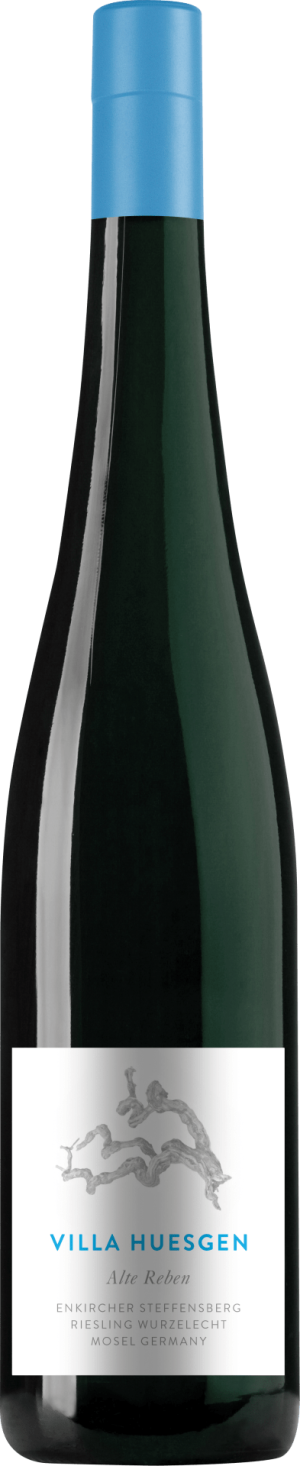 Enkircher Steffensberg Riesling Alte Reben wurzelecht 2023 - Riesling - 750 ml