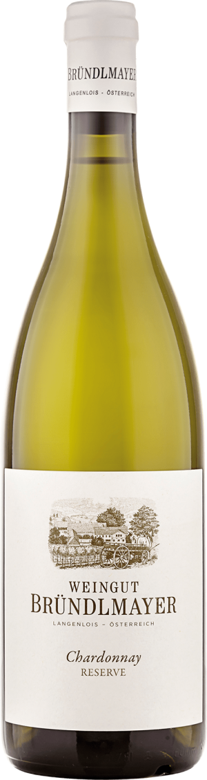 Chardonnay Ried Steinberg 2023 - Chardonnay - 750 ml