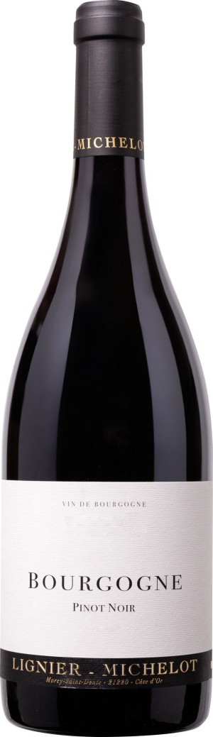 Bourgogne Pinot Noir AC 0.75L 2022 - Pinot Noir - 750 ml