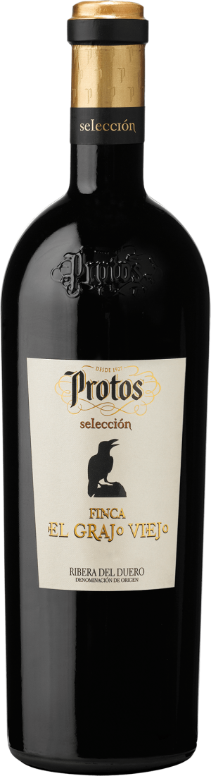 Finca el Grajo Viejo 2018 - Tempranillo - 750 ml