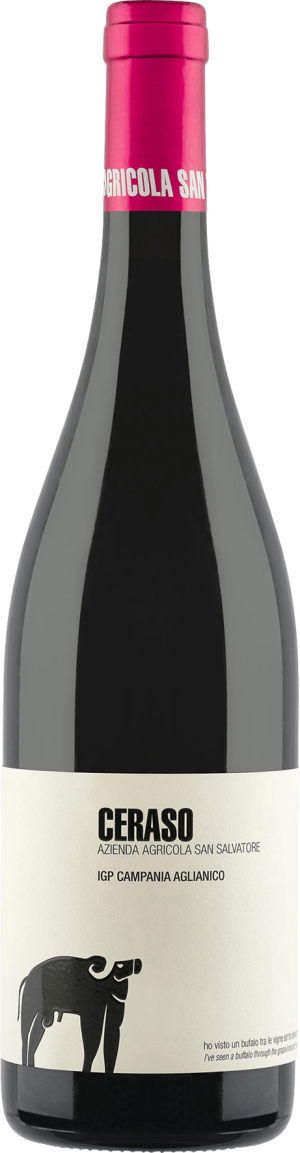 Ceraso Aglianico 2022 - Aglianico - 750 ml